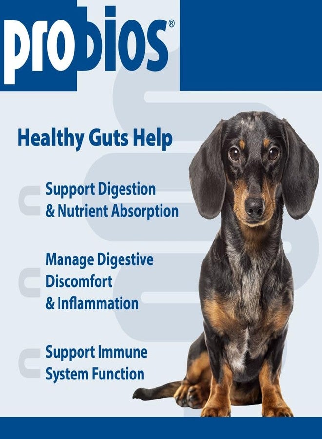 Probios for Dogs Soft Chews, Probiotics for Dogs, Daily Supplement for Gut Health, Digestion & Immune Support, Small Breeds, 4.23oz (Pack of 2) - Image 3